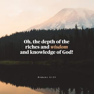 Romans 11:33 - Oh, the depth of the riches and wisdom and knowledge of God! How unfathomable (inscrutable, unsearchable) are His judgments (His decisions)! And how untraceable (mysterious, undiscoverable) are His ways (His methods, His paths)!