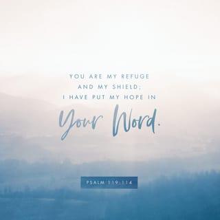 Psalms 119:114 - You are my refuge and my shield;
I have put my hope in your word.
