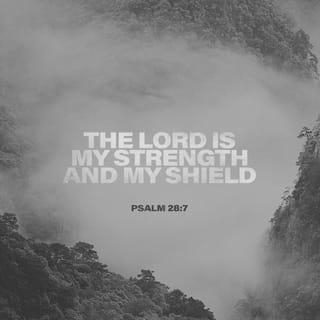 Psalms 28:7 - The LORD is my strength and shield.
I trust him with all my heart.
He helps me, and my heart is filled with joy.
I burst out in songs of thanksgiving.