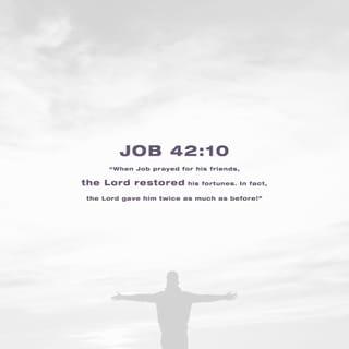 Job 42:10-12 - And the LORD restored the fortunes of Job, when he had prayed for his friends. And the LORD gave Job twice as much as he had before. Then came to him all his brothers and sisters and all who had known him before, and ate bread with him in his house. And they showed him sympathy and comforted him for all the evil that the LORD had brought upon him. And each of them gave him a piece of money and a ring of gold.
And the LORD blessed the latter days of Job more than his beginning. And he had 14,000 sheep, 6,000 camels, 1,000 yoke of oxen, and 1,000 female donkeys.