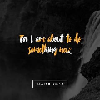 Isaiah 43:19 - For I am about to do something new.
See, I have already begun! Do you not see it?
I will make a pathway through the wilderness.
I will create rivers in the dry wasteland.