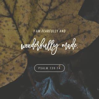 Psalm 139:14 - How you made me is amazing and wonderful.
I praise you for that.
What you have done is wonderful.
I know that very well.