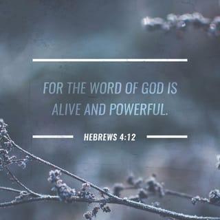 Hebrews 4:12 - For the word of God is alive and active. Sharper than any double-edged sword, it penetrates even to dividing soul and spirit, joints and marrow; it judges the thoughts and attitudes of the heart.