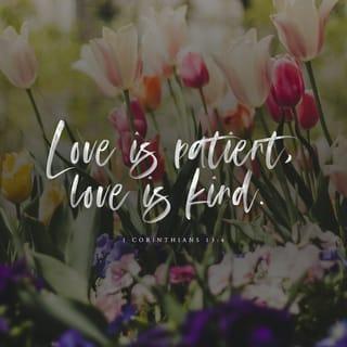 1 Corinthians 13:4-7 - Love is patient, love is kind. It does not envy, it does not boast, it is not proud. It does not dishonor others, it is not self-seeking, it is not easily angered, it keeps no record of wrongs. Love does not delight in evil but rejoices with the truth. It always protects, always trusts, always hopes, always perseveres.