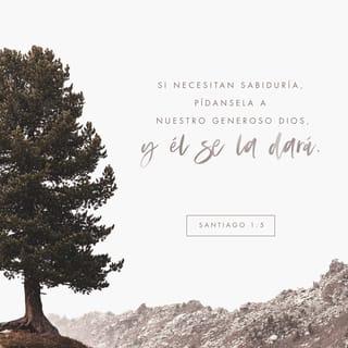 Santiago 1:5-6 RVR1960