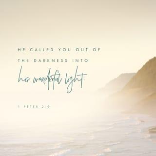 1 Peter 2:9 - But you are a chosen race, a royal priesthood, a holy nation, a people for his possession, so that you may proclaim the praises of the one who called you out of darkness into his marvelous light.