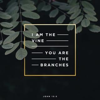 John 15:5 - I am the Vine; you are the branches. Whoever lives in Me and I in him bears much (abundant) fruit. However, apart from Me [cut off from vital union with Me] you can do nothing.