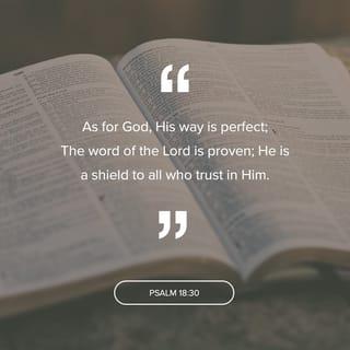 Psalms 18:30 - As for God, his way is perfect:
The LORD’s word is flawless;
he shields all who take refuge in him.