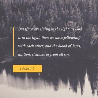 1 John 1:7 - But if we are living in the light, as God is in the light, then we have fellowship with each other, and the blood of Jesus, his Son, cleanses us from all sin.