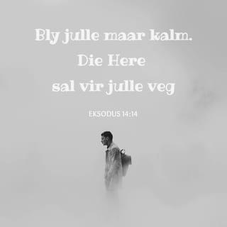 EKSODUS 14:14 AFR83