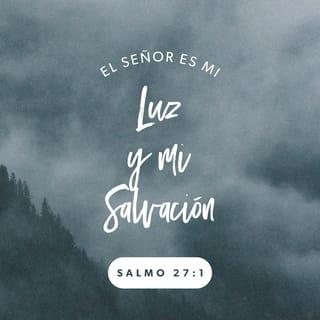 Salmos 27:1 - El Señor es mi luz y mi salvación;
¿a quién podría yo temer?
El Señor es la fortaleza de mi vida;
¿quién podría infundirme miedo?