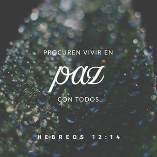 Hebreos 12:14 RVR1960