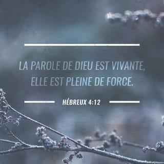 Hébreux 4:12-16 PDV2017