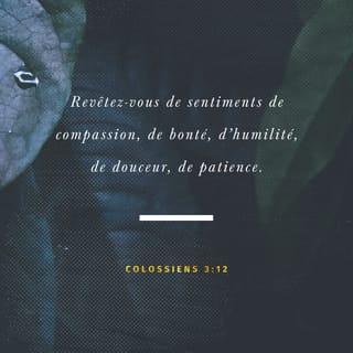 Colossiens 3:12 PDV2017