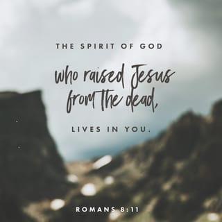 Romans 8:11 - And if the Spirit of Him who raised Jesus from the dead lives in you, He who raised Christ Jesus from the dead will also give life to your mortal bodies through His Spirit, who lives in you.