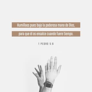 1 Pedro 5:6 - Humillaos, pues, bajo la poderosa mano de Dios, para que él os exalte cuando fuere tiempo