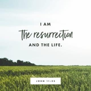 John 11:25-27 - Jesus said unto her, I am the resurrection, and the life: he that believeth in me, though he were dead, yet shall he live: and whosoever liveth and believeth in me shall never die. Believest thou this? She saith unto him, Yea, Lord: I believe that thou art the Christ, the Son of God, which should come into the world.