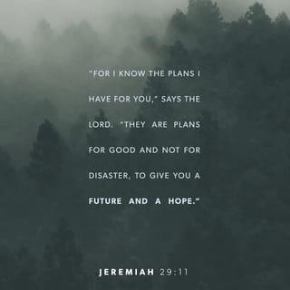 Jeremiah 29:11 - For I know the plans I have for you,” says the LORD. “They are plans for good and not for disaster, to give you a future and a hope.