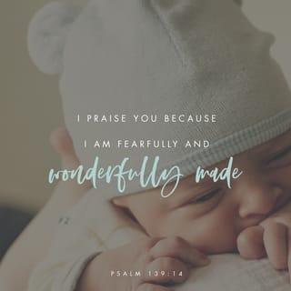 Psalms 139:14 - I will praise You, for I am fearfully and wonderfully made;
Marvelous are Your works,
And that my soul knows very well.