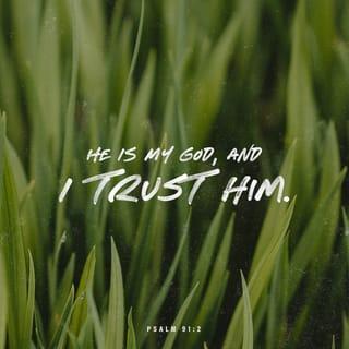 Psalms 91:2 - This I declare about the LORD:
He alone is my refuge, my place of safety;
he is my God, and I trust him.