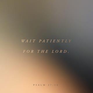 Psalms 27:14 - Wait for the LORD;
be strong, and let your heart be courageous.
Wait for the LORD.