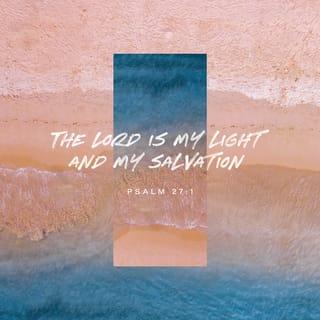 Psalm 27:1 - The LORD is my light and my salvation; whom shall I fear?
The LORD is the strength of my life; of whom shall I be afraid?