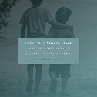 Proverbs 17:17 - A friend loves at all times,
and a brother is born for a difficult time.