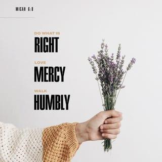 Micah 6:8 - The LORD has told you, human, what is good;
he has told you what he wants from you:
to do what is right to other people,
love being kind to others,
and live humbly, obeying your God.