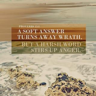 Proverbs 15:1-2 - A gentle answer turns anger away.
But mean words stir up anger.

The tongues of wise people use knowledge well.
But the mouths of foolish people pour out foolish words.