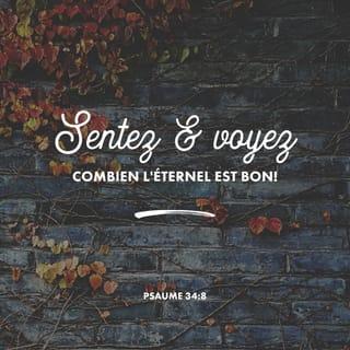 Psaumes 34:8 PDV2017