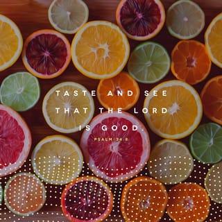 Psalms 34:8 - Oh, taste and see that the LORD is good;
Blessed is the man who trusts in Him!