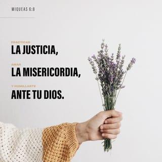 Miqueas 6:8 - Oh hombre, él te ha declarado lo que es bueno, y qué pide Jehová de ti: solamente hacer justicia, y amar misericordia, y humillarte ante tu Dios.