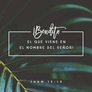 S. Juan 12:13 RVR1960
