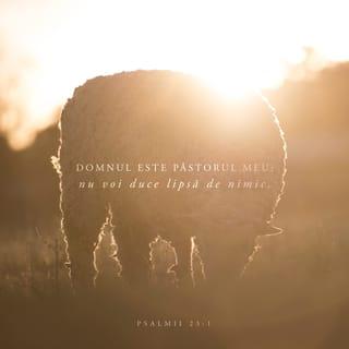 Psalmul 23:1 - Domnul este Păstorul meu: nu voi duce lipsă de nimic.
