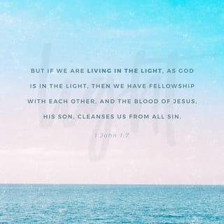 1 John 1:7 - But if we live in the light, as God does, we share in life with each other. And the blood of his Son Jesus washes all our sins away.