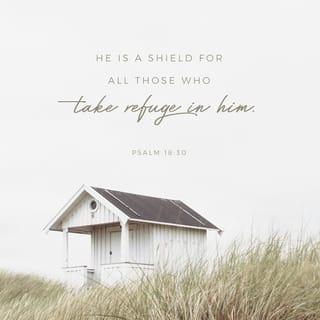 Psalms 18:30 NCV