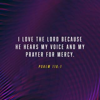 Psalms 116:1 - I love the LORD, for he heard my voice;
he heard my cry for mercy.