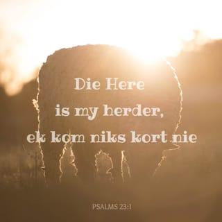 Psalms 23:1-3 - The LORD is my shepherd, I lack nothing.
He makes me lie down in green pastures,
he leads me beside quiet waters,
he refreshes my soul.
He guides me along the right paths
for his name’s sake.
