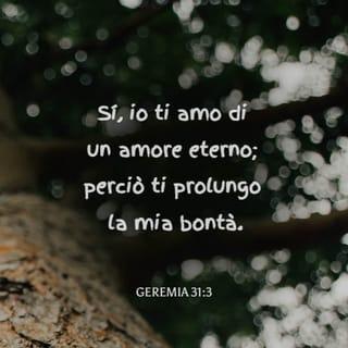 Geremia 31:3 NR06