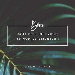 Jean 12:12-15 PDV2017