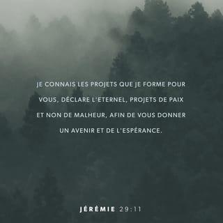 Jérémie 29:11 PDV2017