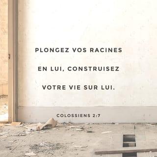 Colossiens 2:6-8 PDV2017