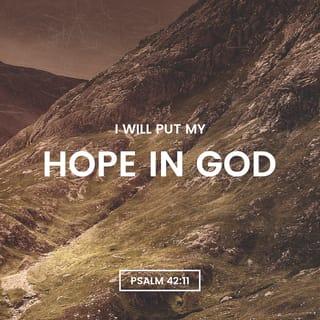Psalms 42:11 - Why, my soul, are you so dejected?
Why are you in such turmoil?
Put your hope in God, for I will still praise him,
my Savior and my God.
