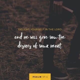 Psalm 37:4 - Delight thyself also in the LORD;
And he shall give thee the desires of thine heart.