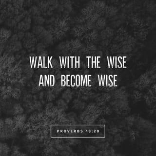 Proverbs 13:20 - Whoever walks with the wise becomes wise,
but the companion of fools will suffer harm.