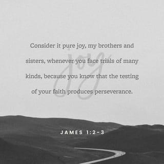 James 1:2-3 - Consider it pure joy, my brothers and sisters, whenever you face trials of many kinds, because you know that the testing of your faith produces perseverance.