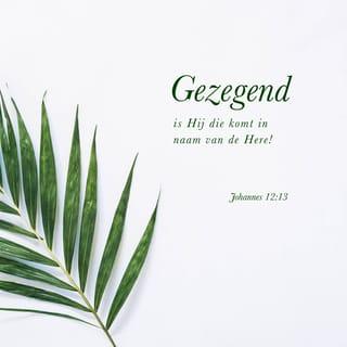 Johannes 12:13 - liep de stad uit Hem tegemoet. Zij hadden palmtakken in de hand en juichten uitbundig: ‘Alle eer is voor God! Gezegend is Hij die komt in naam van de Here! De koning van Israël!’
