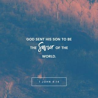 1 John 4:14 - The Father has sent his Son to be the Savior of the world. We have seen it and are witnesses to it.