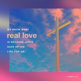 1 John 3:16 - We know what real love is because Jesus gave up his life for us. So we also ought to give up our lives for our brothers and sisters.