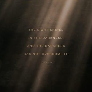John 1:4-5 - In him was life, and that life was the light of all mankind. The light shines in the darkness, and the darkness has not overcome it.